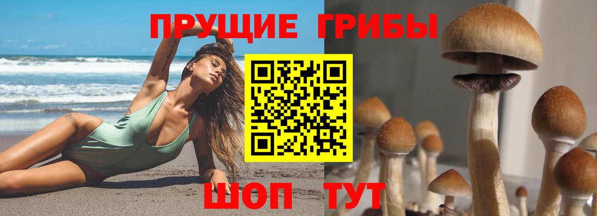 Псилоцибиновые грибы Cubensis  Псилоцибиновые грибы Psilocybe  как найти   Вход с VPN  Нижневартовск 